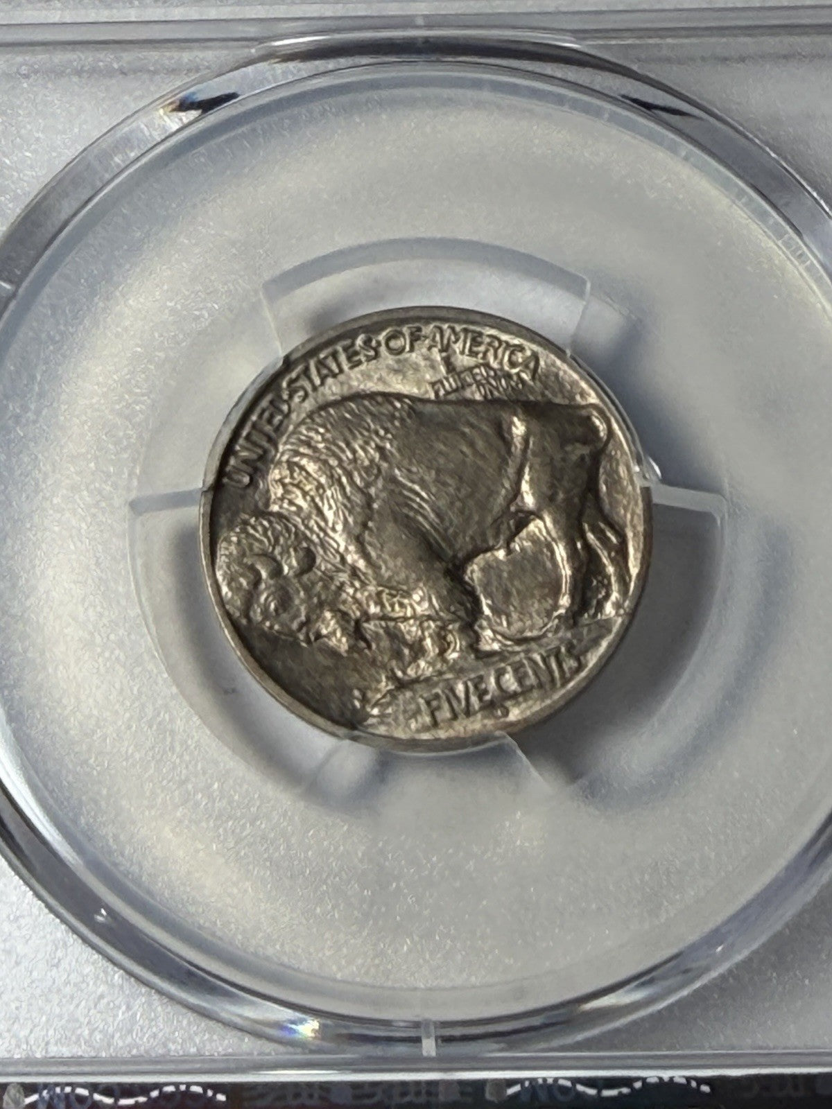 1913-D PCGS MS64 Buffalo Nickel Type 1