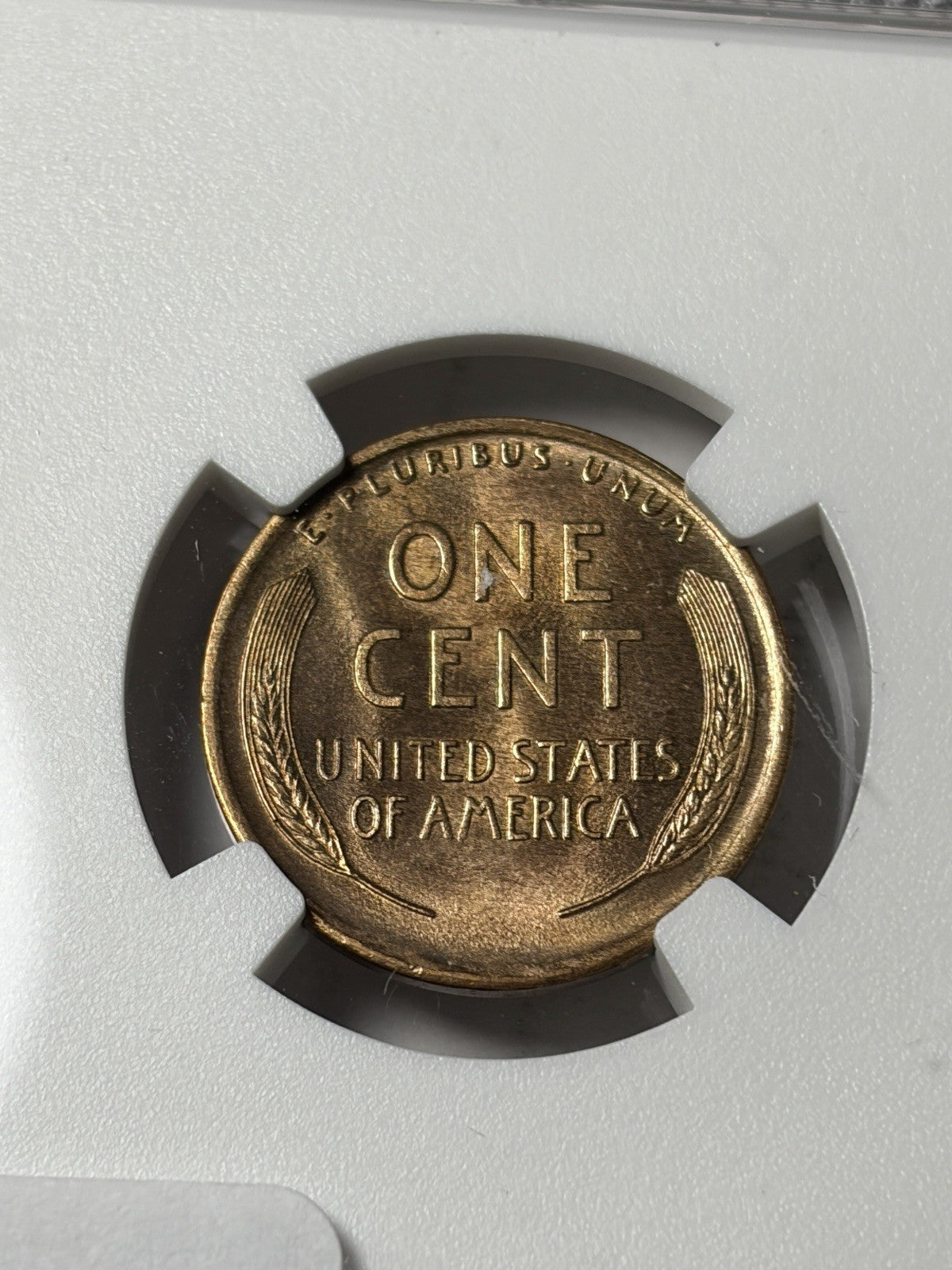 1910-S NGC UNC Details Lincoln Wheat Cent