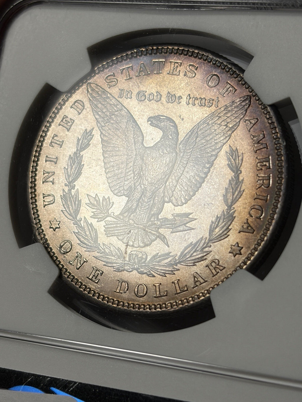 1899 NGC MS64 CAC Morgan Silver Dollar Toned