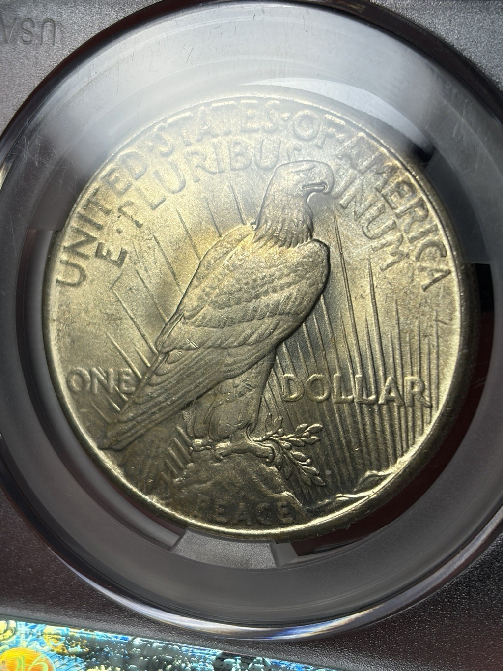 1926 CACG MS65 Peace Silver Dollar Toned Nicely