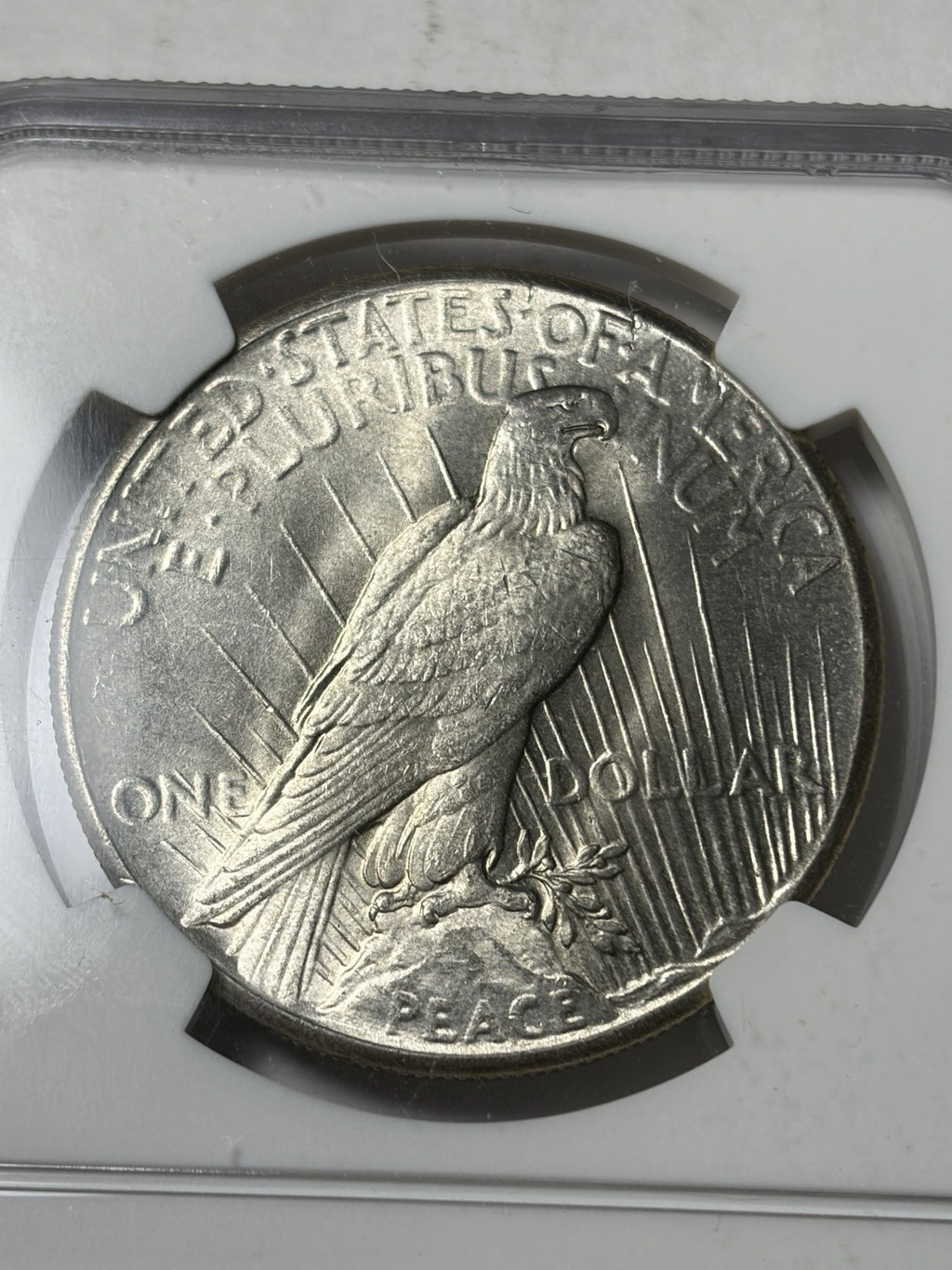 1928 NGC MS63 Peace Silver Dollar