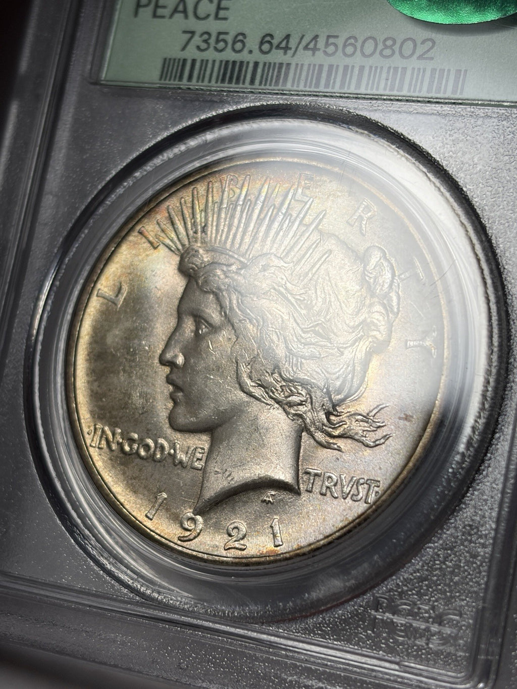 1921 PCGS MS64 CAC Peace Silver Dollar Old Green Holder Toned