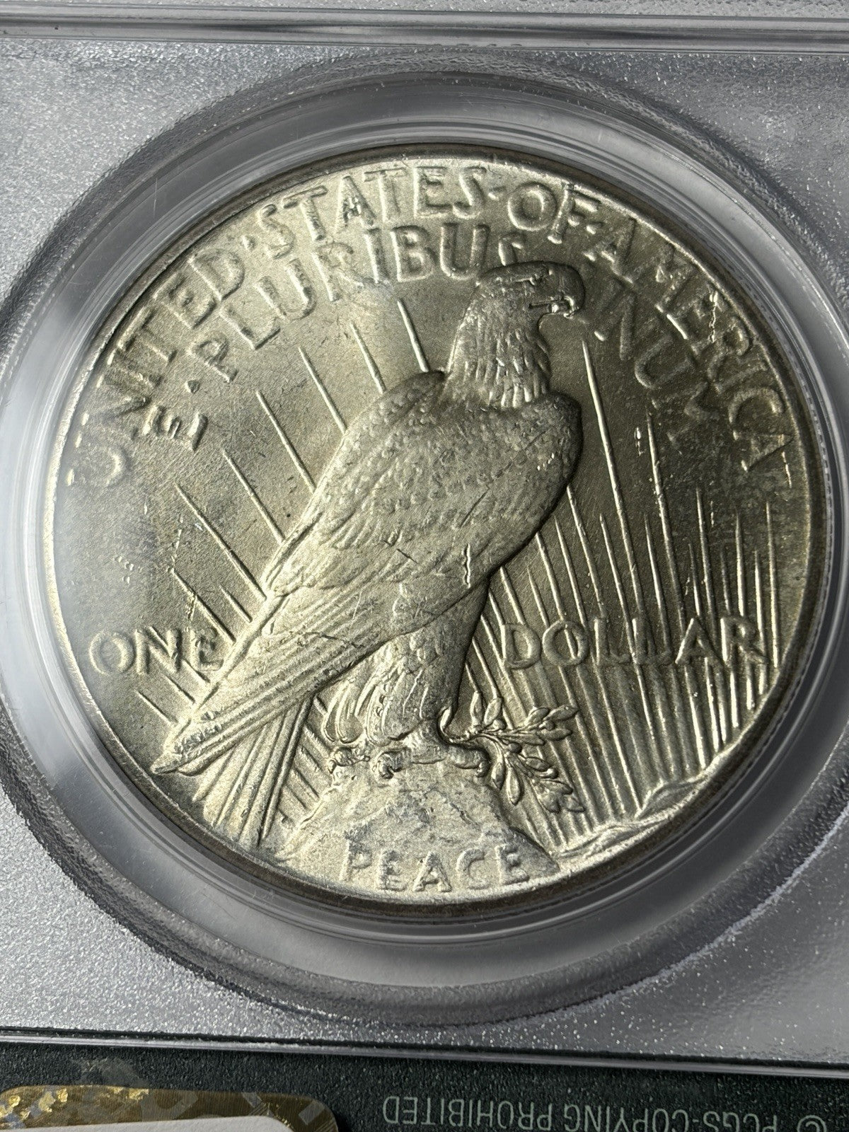 1928 PCGS MS64 Peace Silver Dollar Old Green Holder