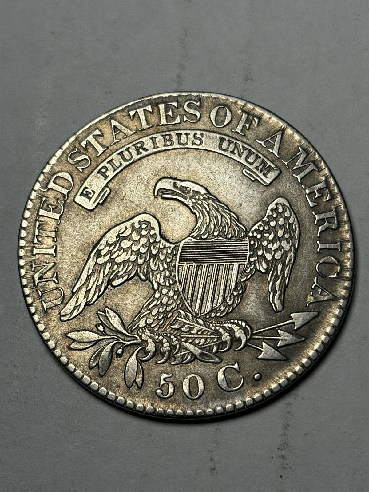 1828 Capped Bust Half Dollar Details