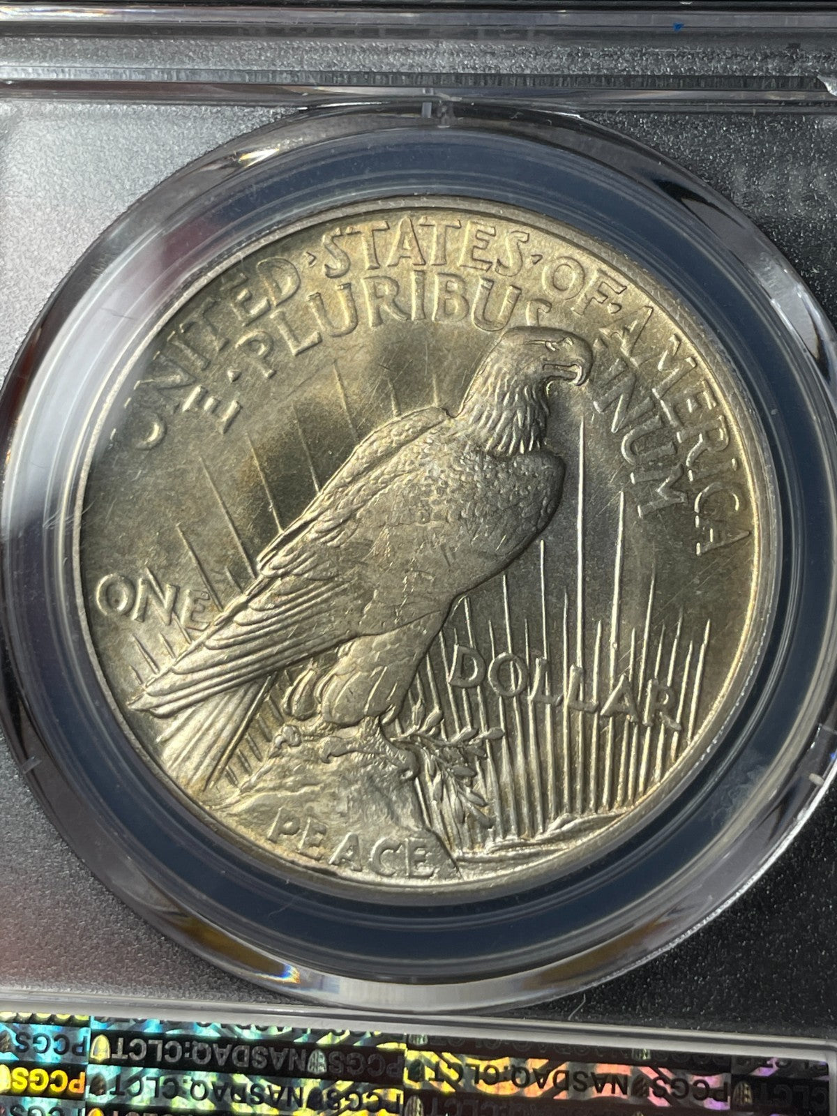 1921 PCGS MS64 Peace Silver Dollar Key Date Toned