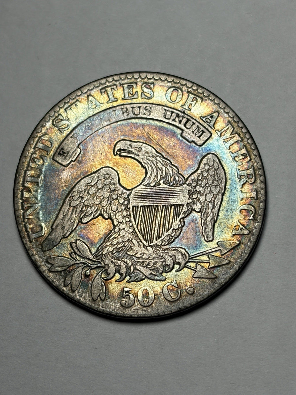 1831 Capped Bust Half Dollar Toned Toning Details