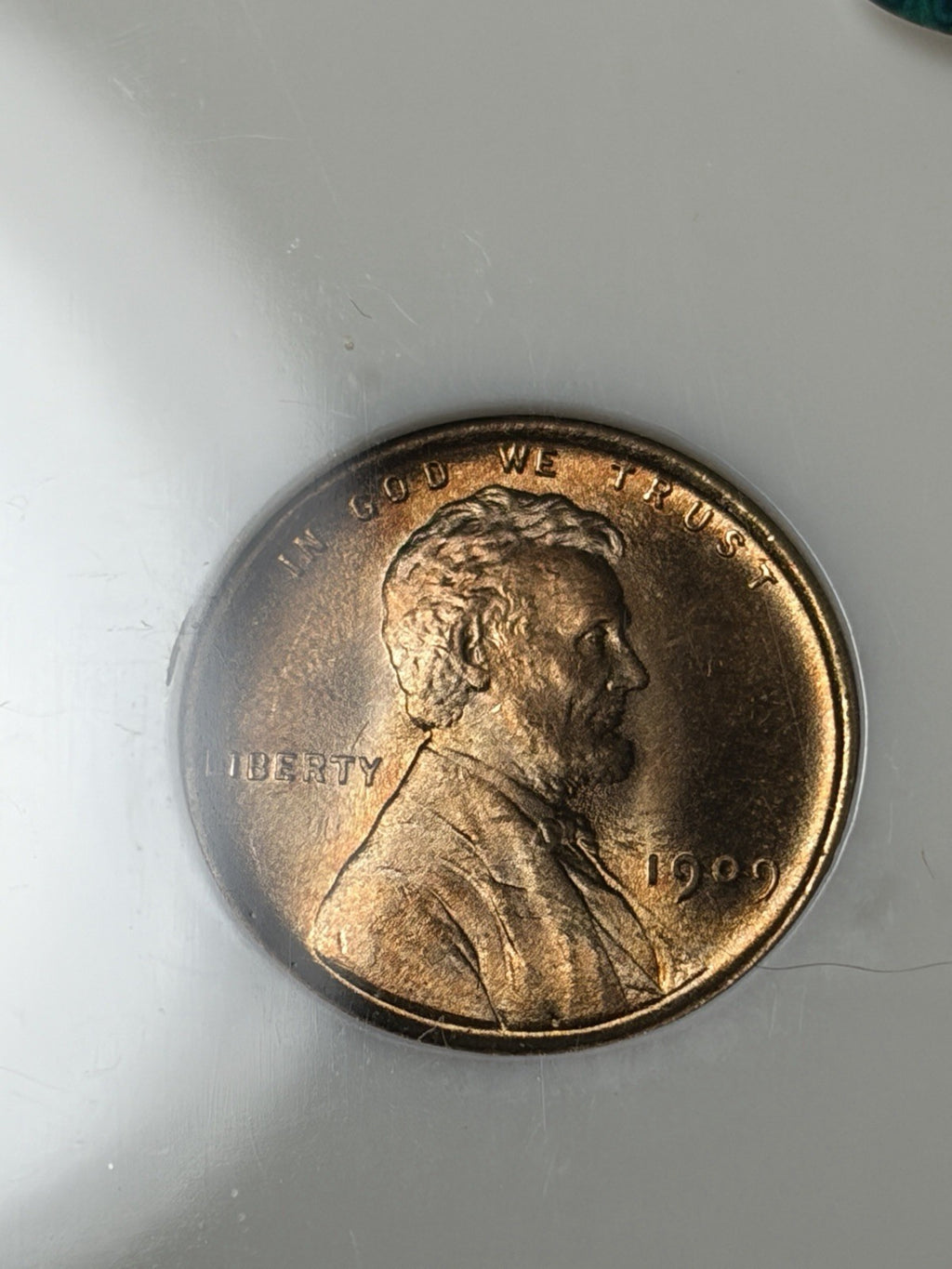 1909 VDB NGC MS66 RD CAC Lincoln Wheat Cent Old Fatty Holder
